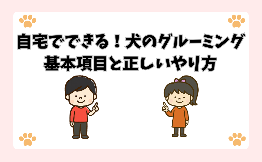 自宅でできる！犬のグルーミング基本項目と正しいやり方