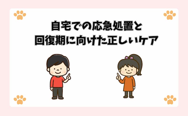 自宅での応急処置と回復期に向けた正しいケア