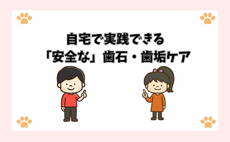 自宅で実践できる「安全な」歯石・歯垢ケア