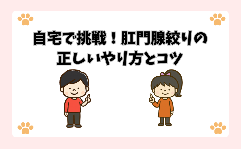 自宅で挑戦！肛門腺絞りの正しいやり方とコツ