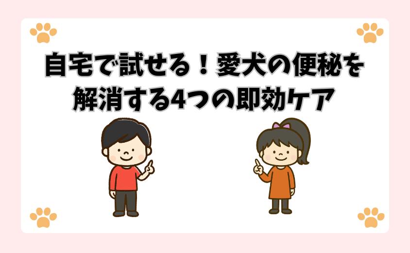 自宅で試せる！愛犬の便秘を解消する4つの即効ケア
