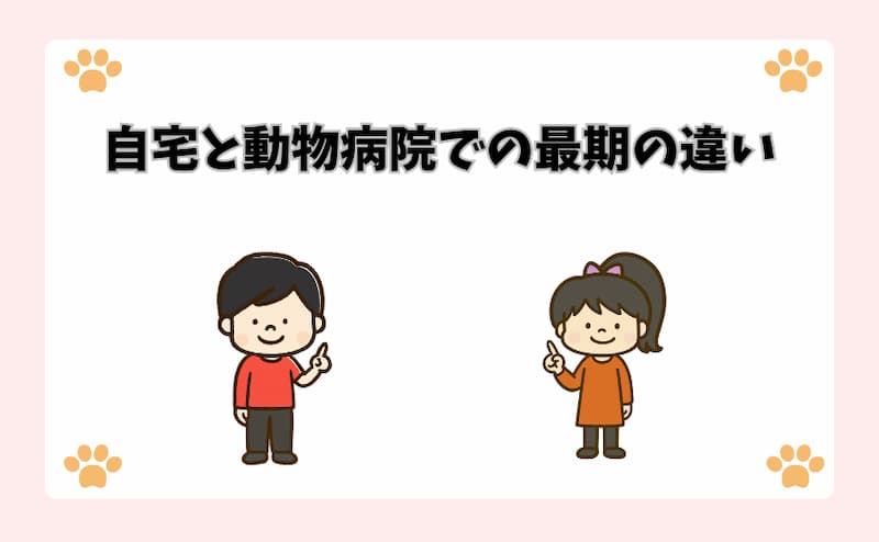 自宅と動物病院での最期の違い