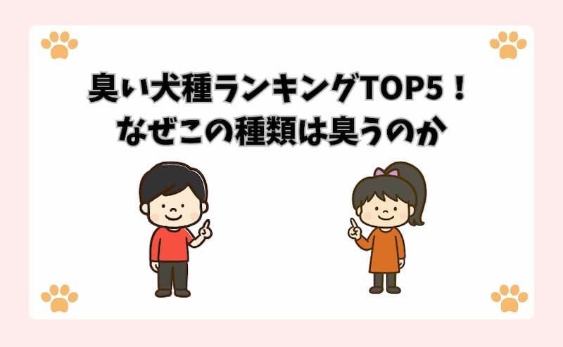 臭い犬種ランキングTOP5！なぜこの種類は臭うのか