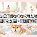 臭い犬種ランキングTOP5！体臭の原因と対策・豆知識を徹底解説