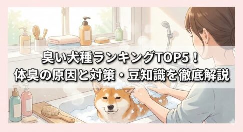 臭い犬種ランキングTOP5！体臭の原因と対策・豆知識を徹底解説