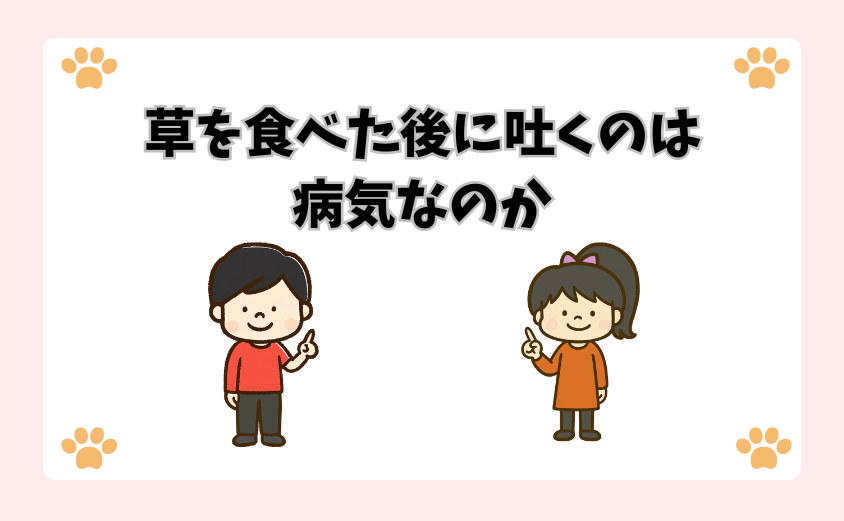 草を食べた後に吐くのは病気なのか