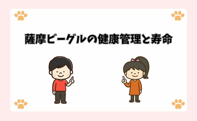 薩摩ビーグルの健康管理と寿命