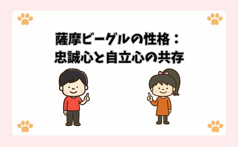 薩摩ビーグルの性格：忠誠心と自立心の共存