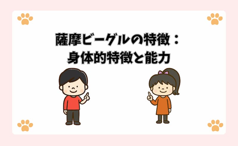 薩摩ビーグルの特徴：身体的特徴と能力