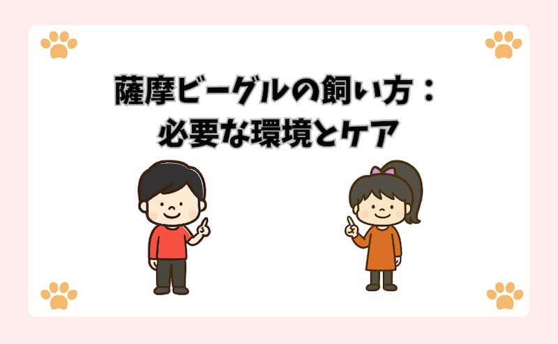 薩摩ビーグルの飼い方：必要な環境とケア