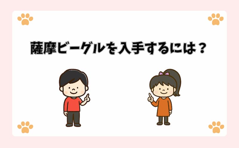 薩摩ビーグルを入手するには？