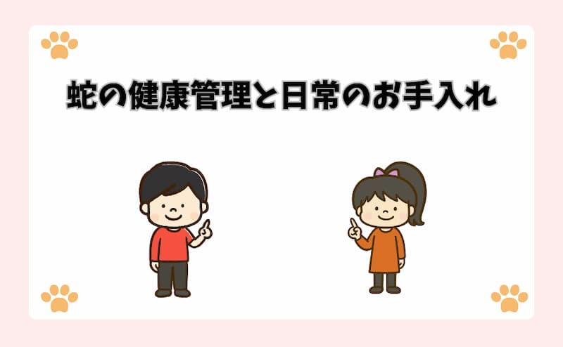 蛇の健康管理と日常のお手入れ