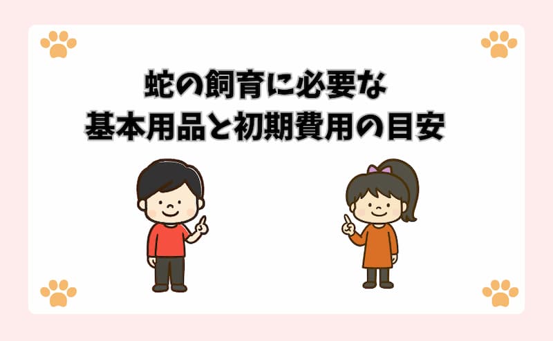 蛇の飼育に必要な基本用品と初期費用の目安
