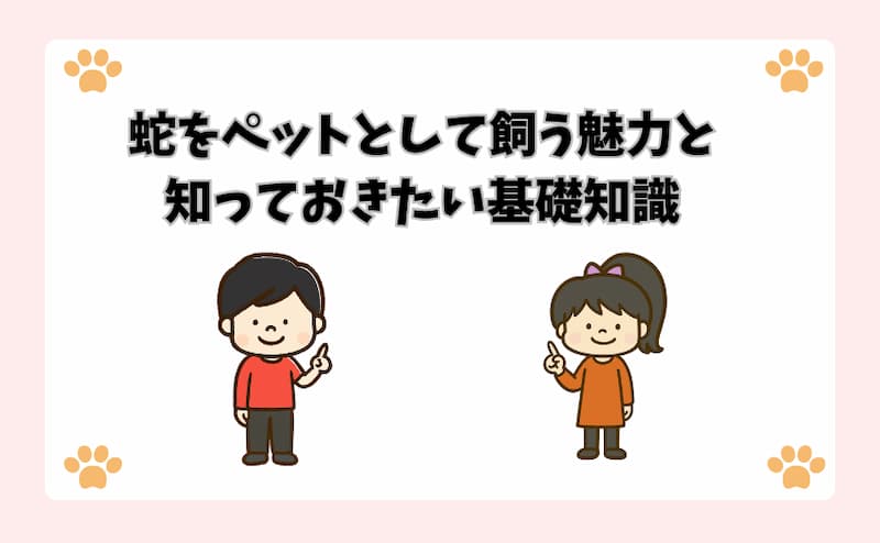 蛇をペットとして飼う魅力と知っておきたい基礎知識