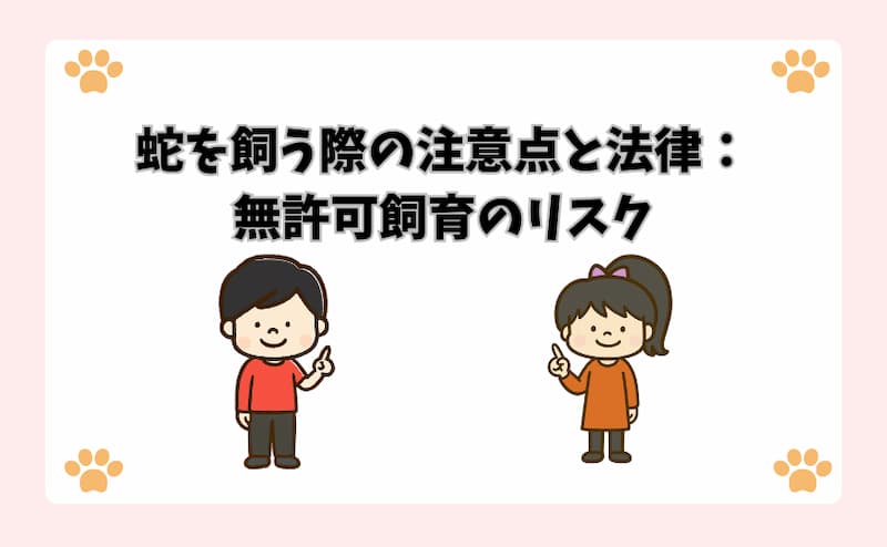 蛇を飼う際の注意点と法律：無許可飼育のリスク