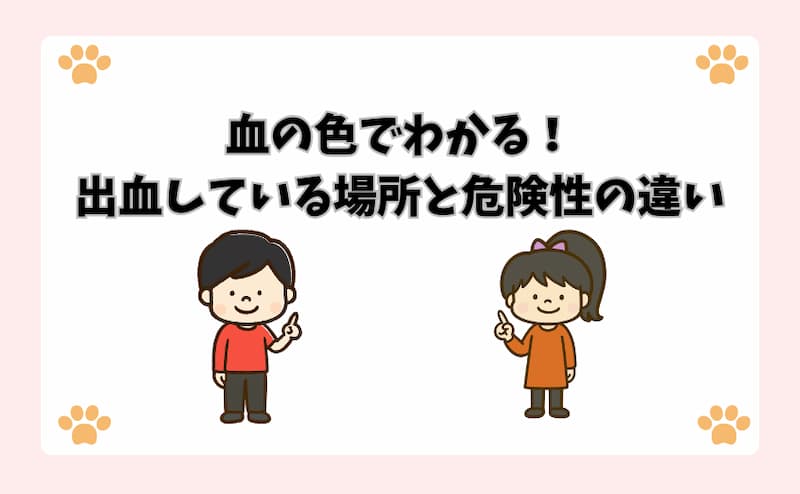 血の色でわかる！出血している場所と危険性の違い