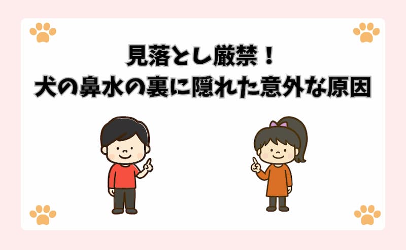 見落とし厳禁！犬の鼻水の裏に隠れた意外な原因