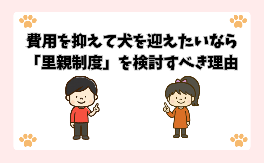 費用を抑えて犬を迎えたいなら「里親制度」を検討すべき理由