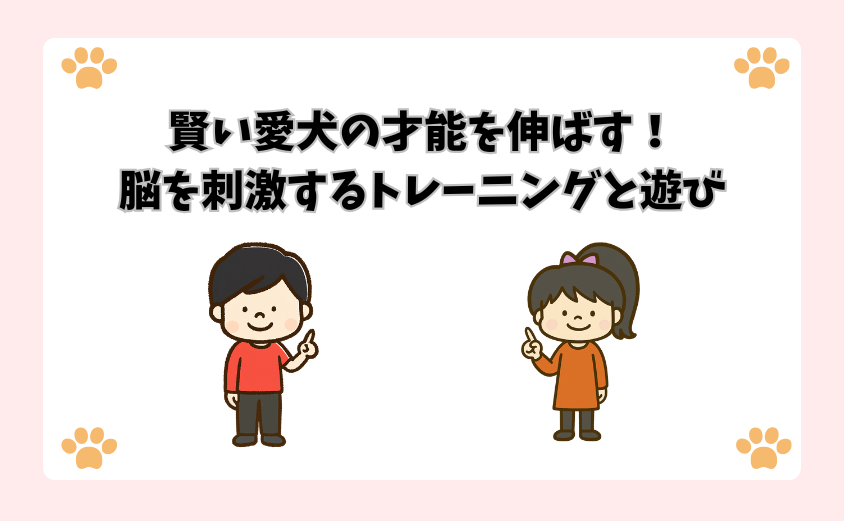 賢い愛犬の才能を伸ばす！脳を刺激するトレーニングと遊び