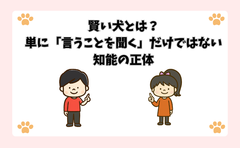 賢い犬とは？単に「言うことを聞く」だけではない知能の正体