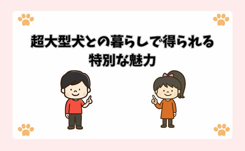 超大型犬との暮らしで得られる特別な魅力