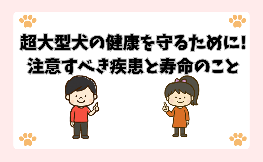 超大型犬の健康を守るために！注意すべき疾患と寿命のこと
