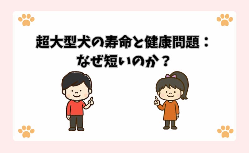 超大型犬の寿命と健康問題：なぜ短いのか？