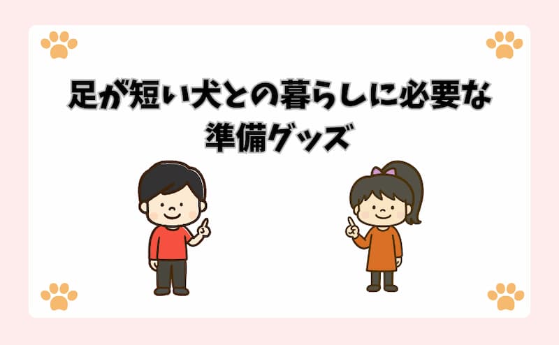 足が短い犬との暮らしに必要な準備グッズ