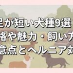 足が短い犬種9選！性格や魅力・飼い方の注意点とヘルニア対策