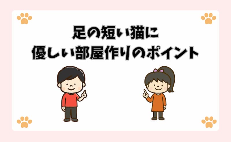 足の短い猫に優しい部屋作りのポイント