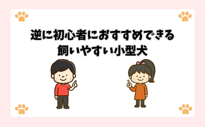逆に初心者におすすめできる飼いやすい小型犬
