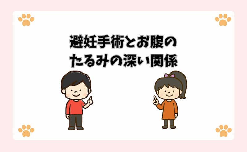 避妊手術とお腹のたるみの深い関係