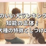頭のいい犬ランキングと知能の正体！賢い犬種の特徴としつけのコツ