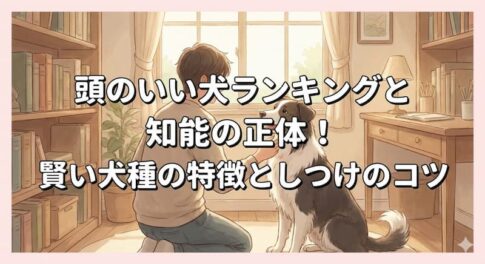 頭のいい犬ランキングと知能の正体！賢い犬種の特徴としつけのコツ