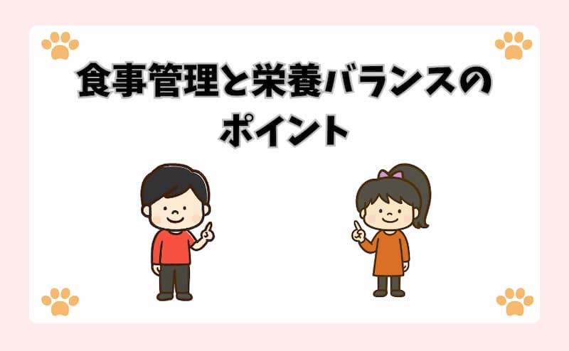 食事管理と栄養バランスのポイント