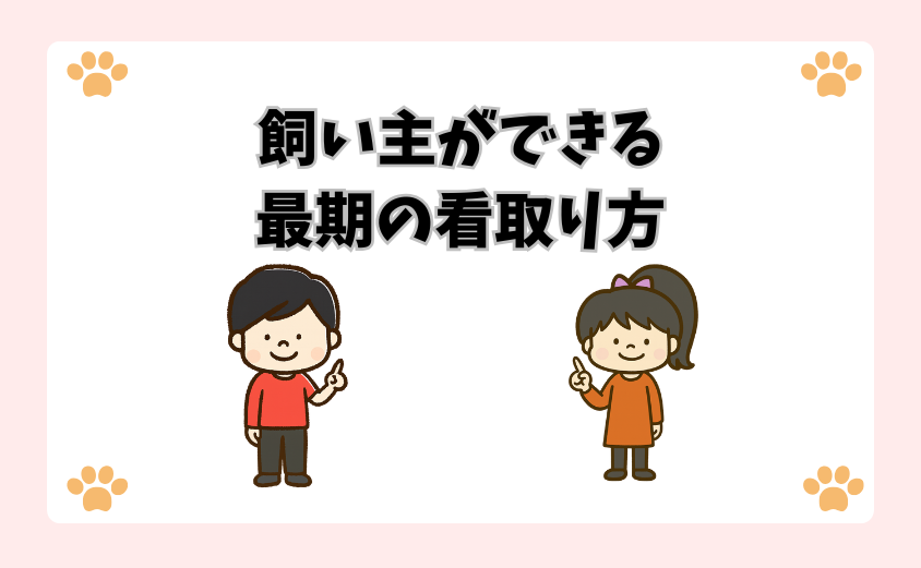飼い主ができる最期の看取り方