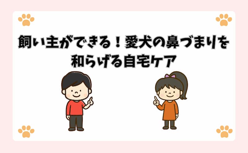 飼い主ができる！愛犬の鼻づまりを和らげる自宅ケア