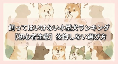 飼ってはいけない小型犬ランキング【初心者注意】後悔しない選び方