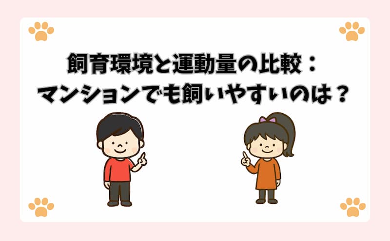 飼育環境と運動量の比較：マンションでも飼いやすいのは？