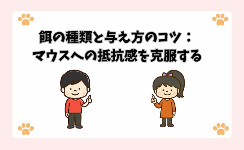 餌の種類と与え方のコツ：マウスへの抵抗感を克服する