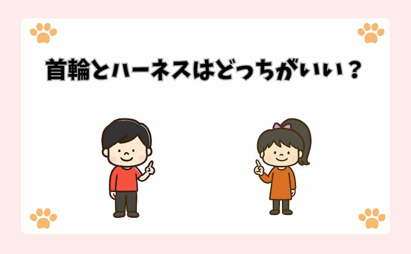首輪とハーネスはどっちがいい？