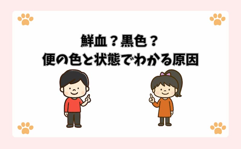 鮮血？黒色？便の色と状態でわかる原因