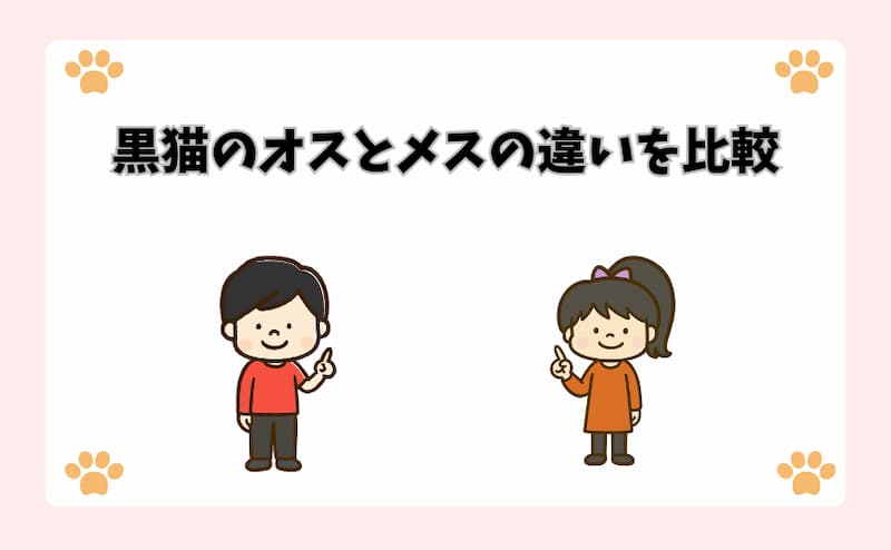 黒猫のオスとメスの違いを比較