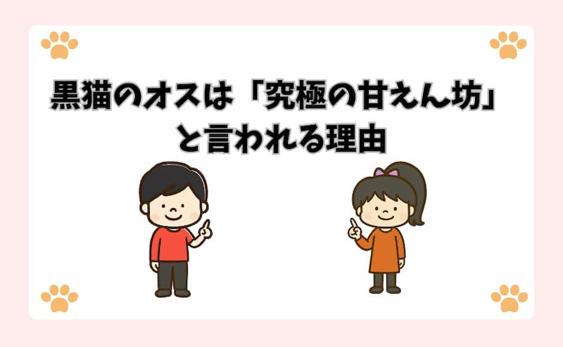 黒猫のオスは「究極の甘えん坊」と言われる理由