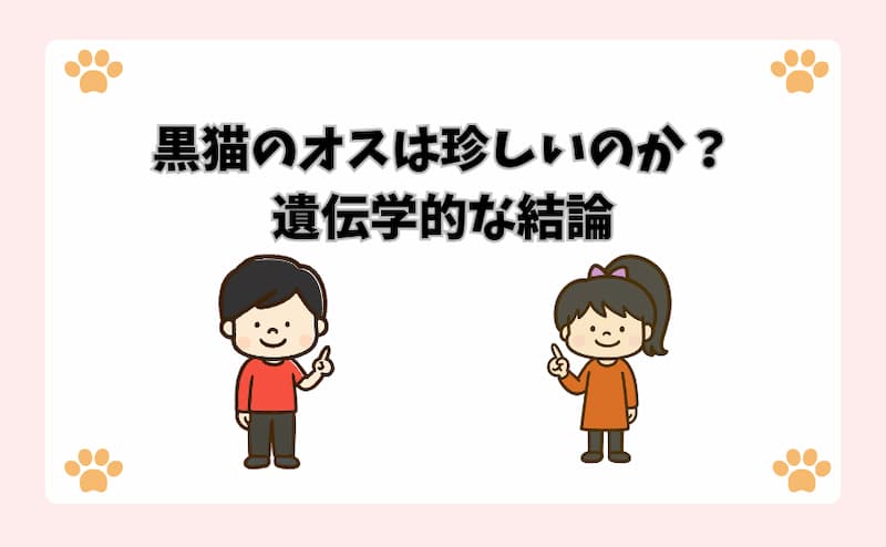 黒猫のオスは珍しいのか？遺伝学的な結論