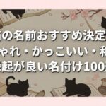 黒猫の名前おすすめ決定版！おしゃれ・かっこいい・和風・縁起が良い名付け100選