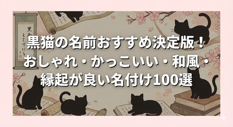 黒猫の名前おすすめ決定版！おしゃれ・かっこいい・和風・縁起が良い名付け100選