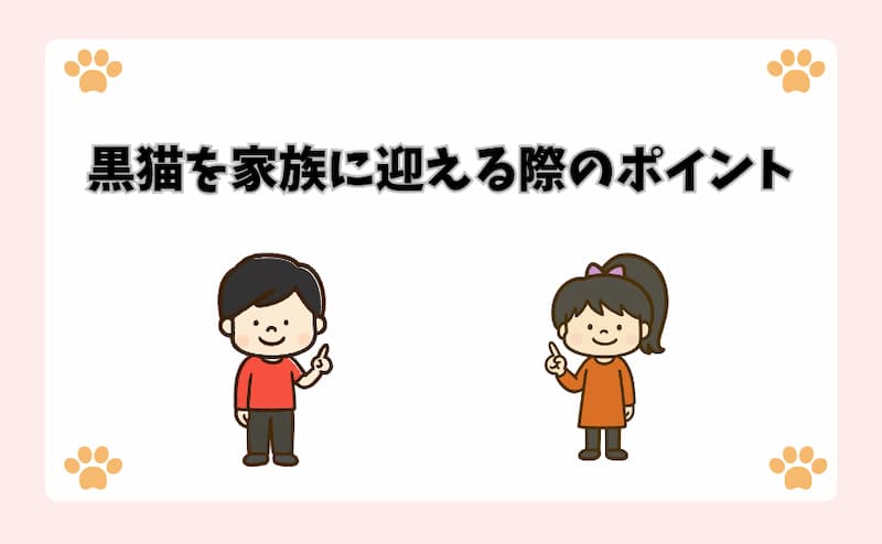 黒猫を家族に迎える際のポイント