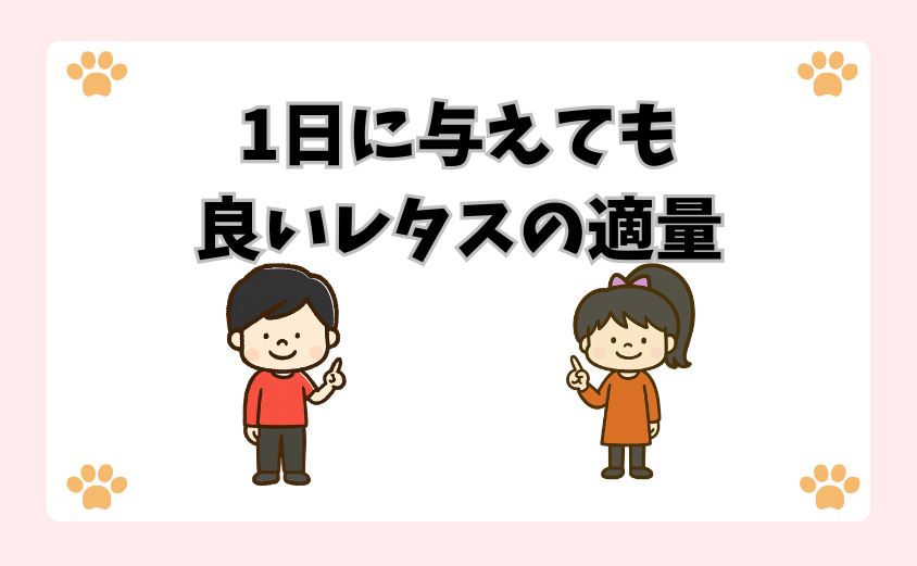 1日に与えても良いレタスの適量