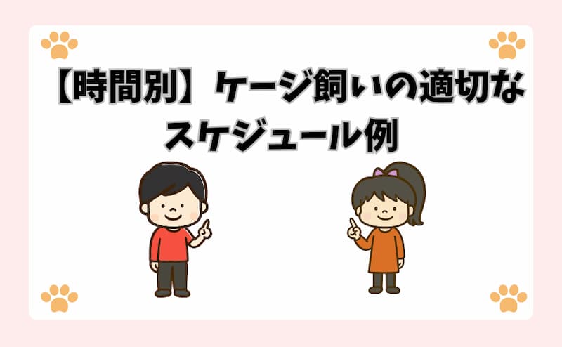 【時間別】ケージ飼いの適切なスケジュール例